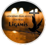 LIGAMIS